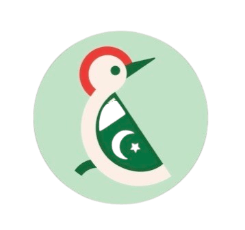 Campa&ntilde;a financiera internacional oficial y colaboraci&oacute;n con Zartasha Kashif (Tashu) con TapTap Send, destacando su valor de mercado global como la Estrella Infantil m&aacute;s importante de Pakist&aacute;n y la Creadora Digital Infantil m&aacute;s importante.